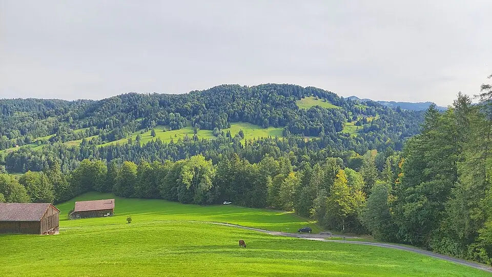 Bild: Harald Hetzner · CC0 Elmooser Berg