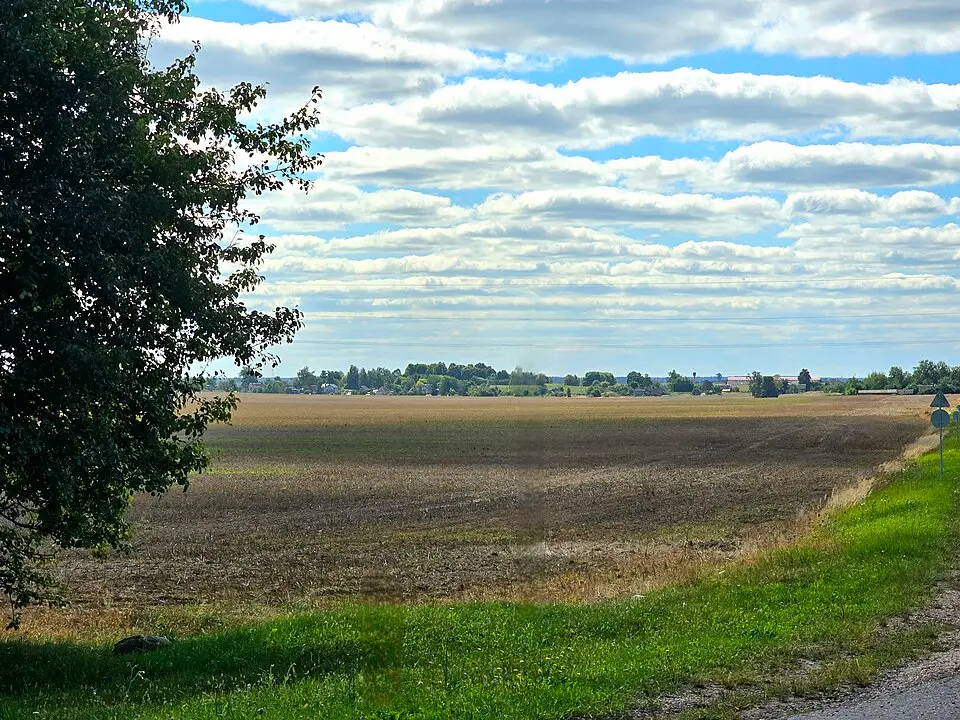 Juškavičy