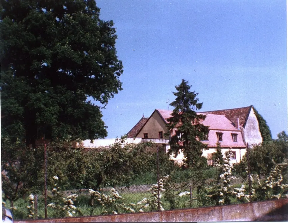 Schloss Freinsheim