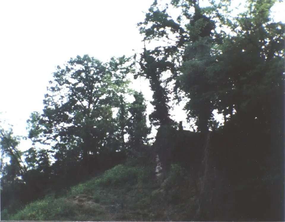 Burg Fürsteneck (Butschbach)