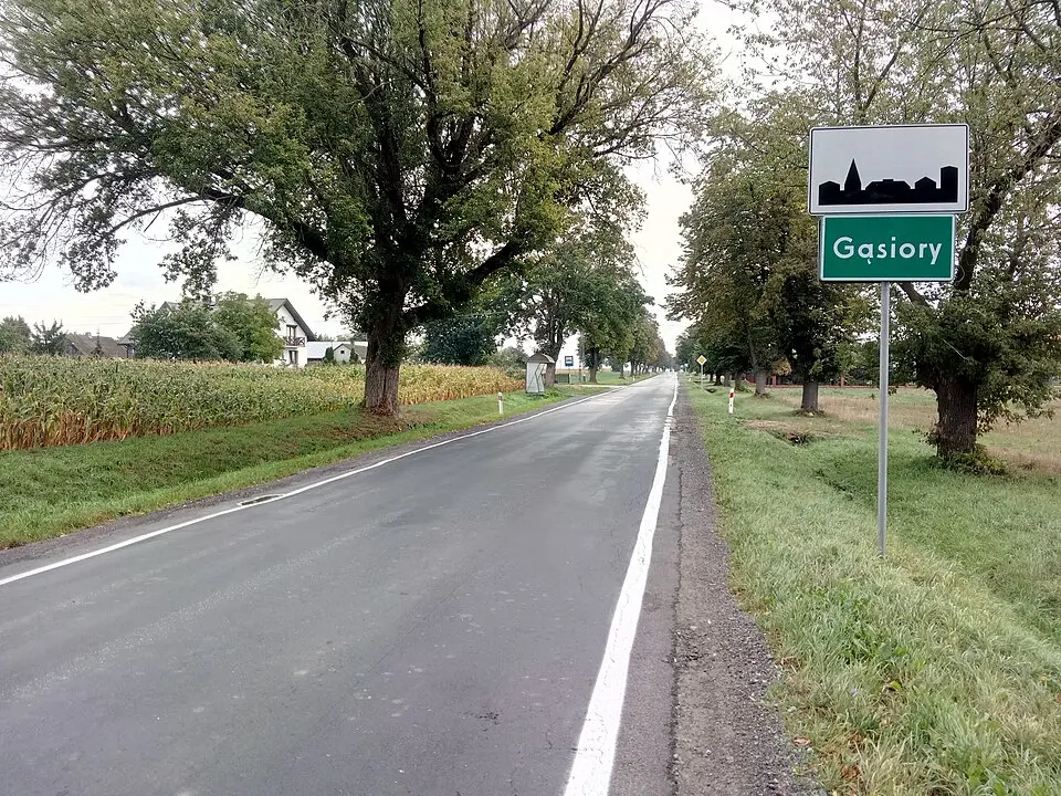 Gąsiory