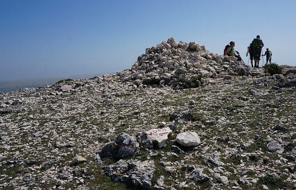 Bild: Naturpuur · CC BY 4.0 Obzova