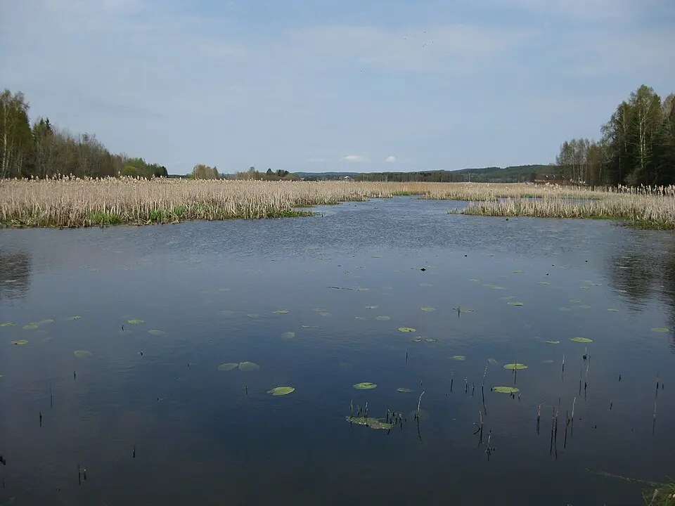 Gjølsjøen naturreservat
