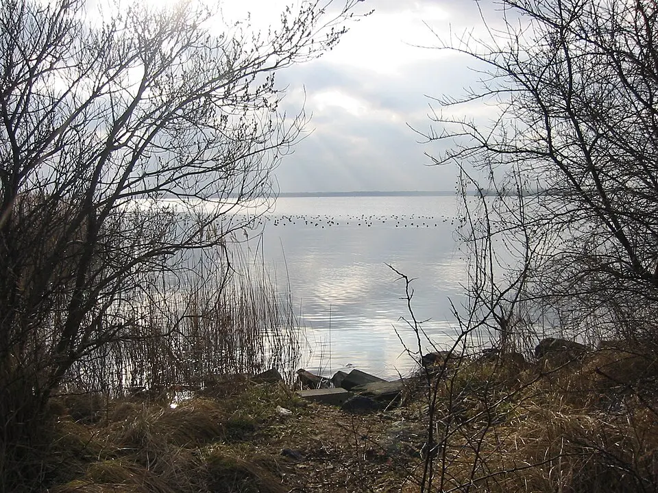 Bild: GerardM · CC BY-SA 3.0 Gooimeer