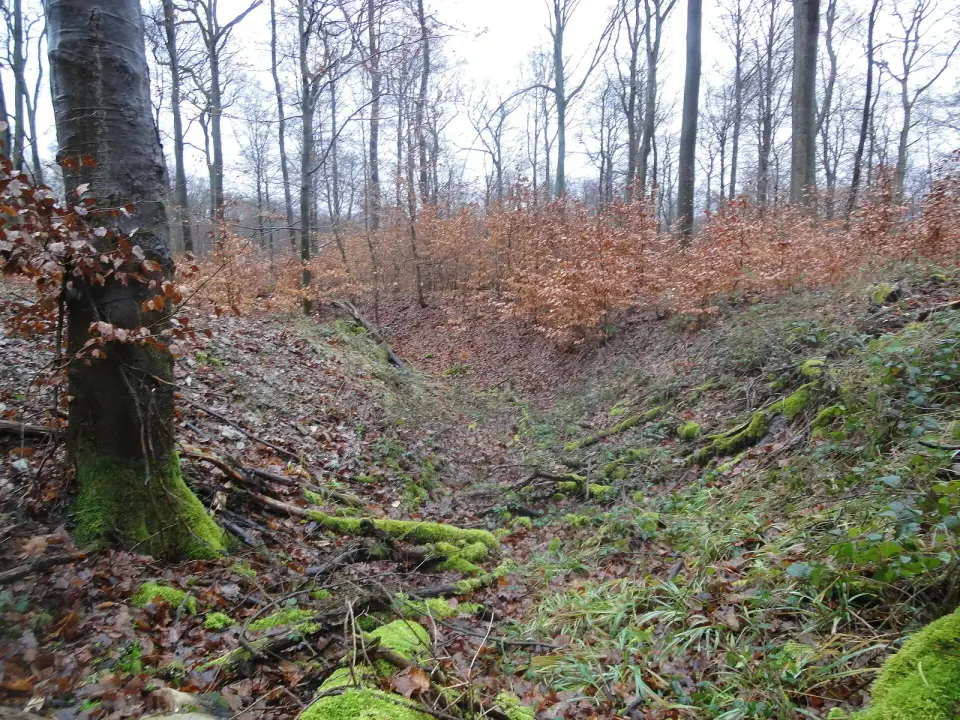 Bild: Frank Winkelmann · CC BY 3.0 Schanze Weisel