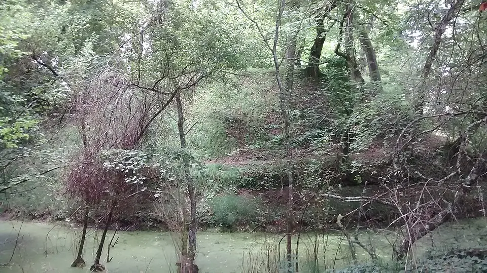 motte Saint-Albe