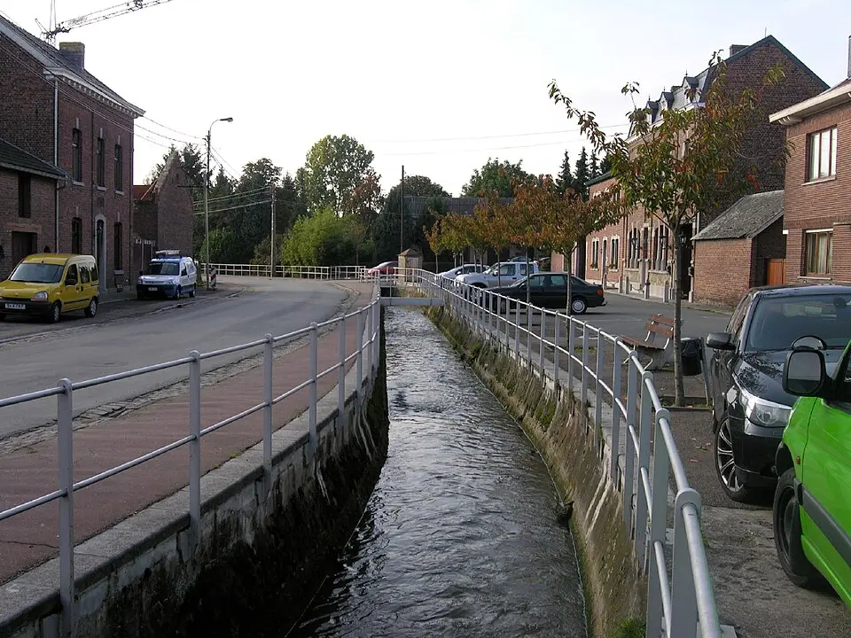 Voer