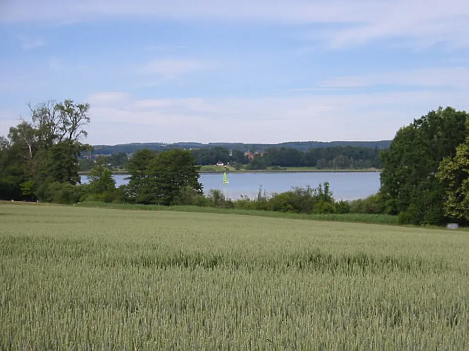 Riedspitz, Seefeld, Usserried, Neuhus, Prähistorische Seerandsiedlungsstelle