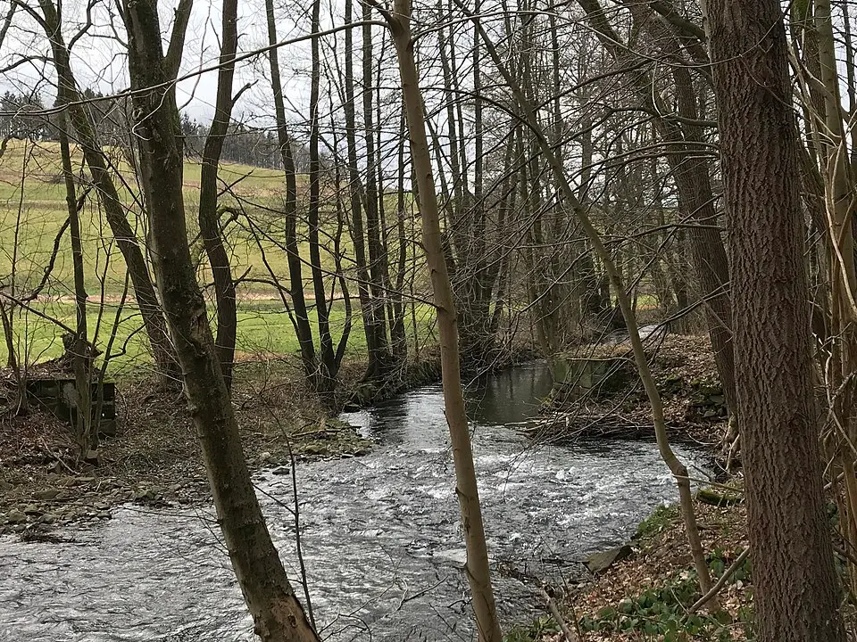 Bild: Dor Jörsch · CC BY-SA 4.0 Große Lößnitz