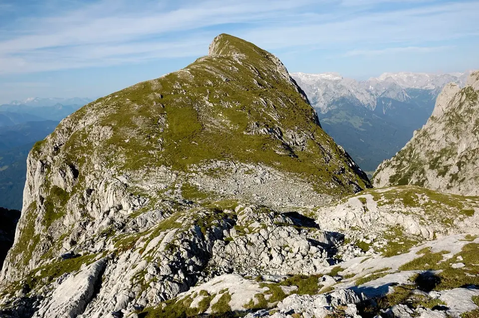 Großes Fieberhorn