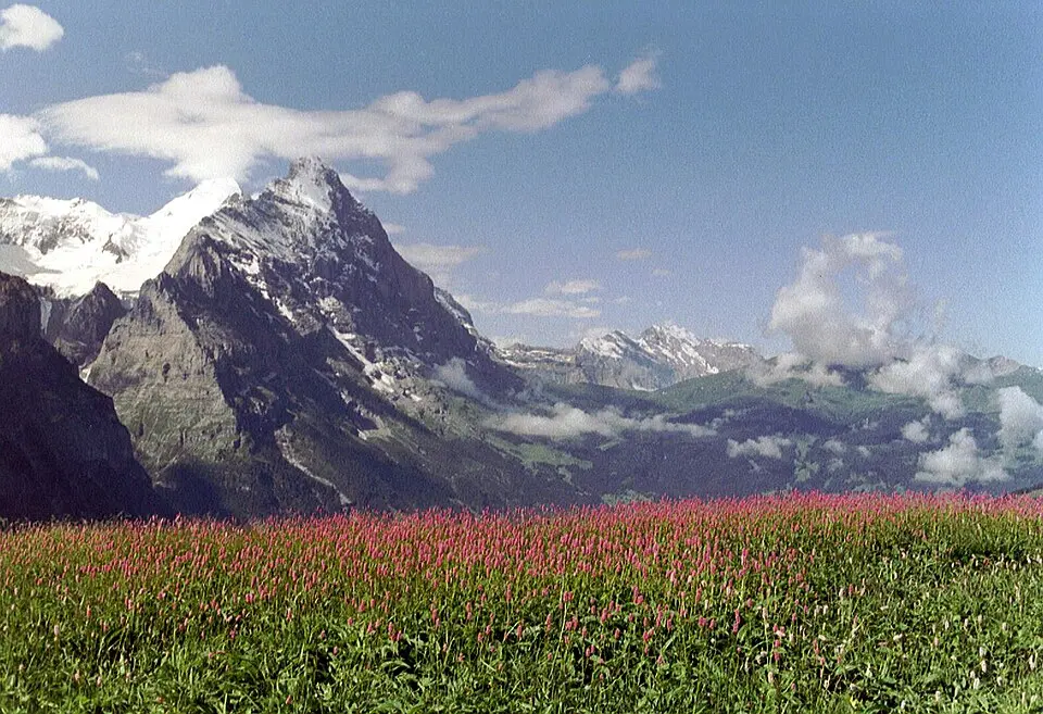 Grosse Scheidegg
