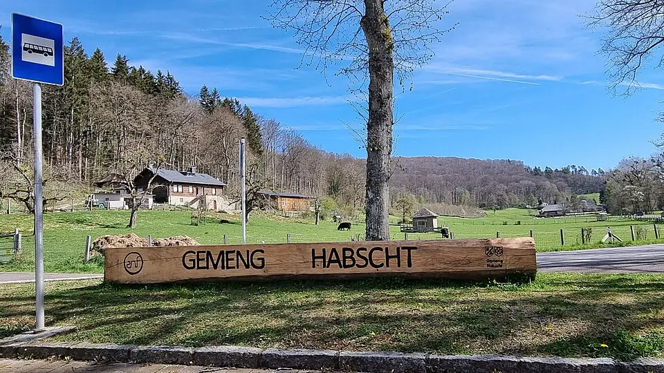 Habscht