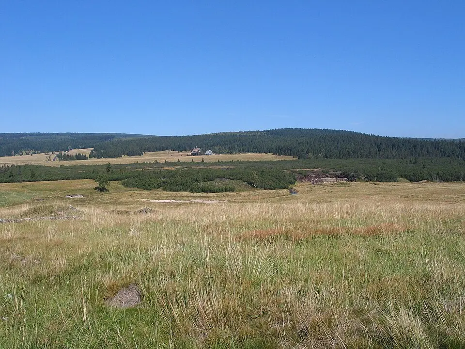 prairie de la Jizera