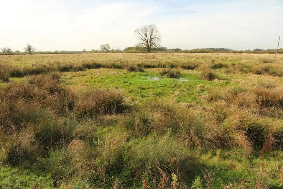 Hall Close: a medieval and post-medieval hall complex south of Dovecote Lane, with dovecote, gardens, fishponds, churchyard and