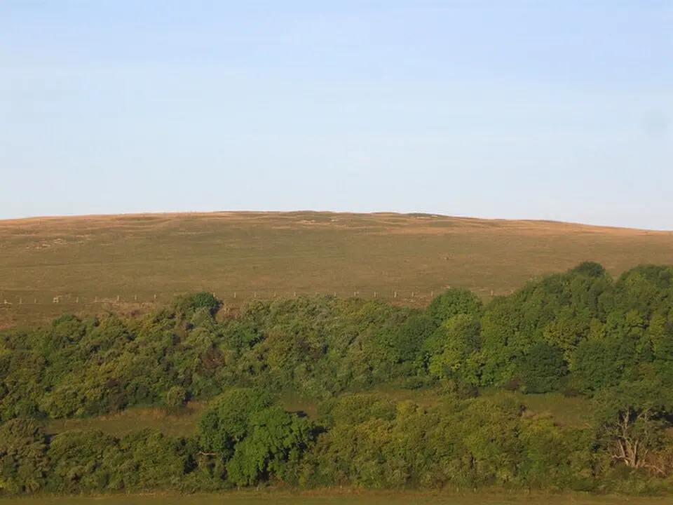 Prehistoric flint mine and a Martin Down style enclosure on Harrow hill, 850m south east of Lee Farm