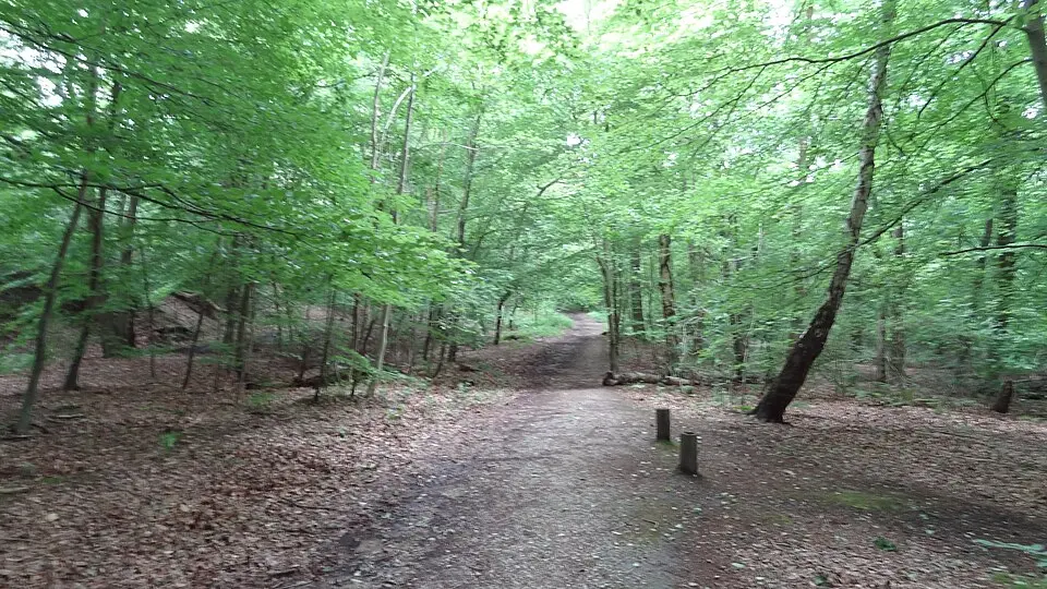 Harrow Weald Common