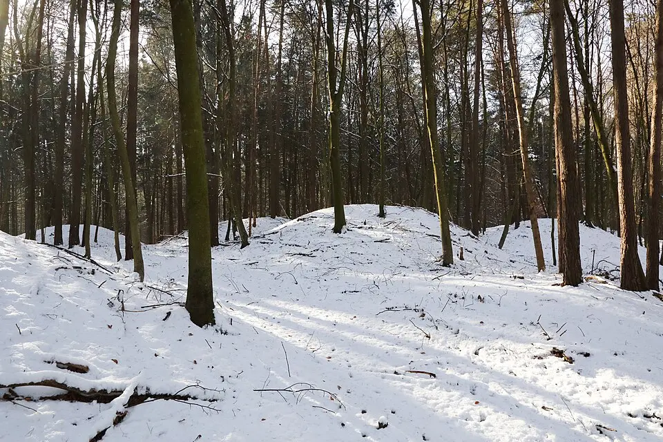 Bild: Christian Pirkl · CC BY-SA 4.0 Hügelgräberfeld Ungerdorfer Wald