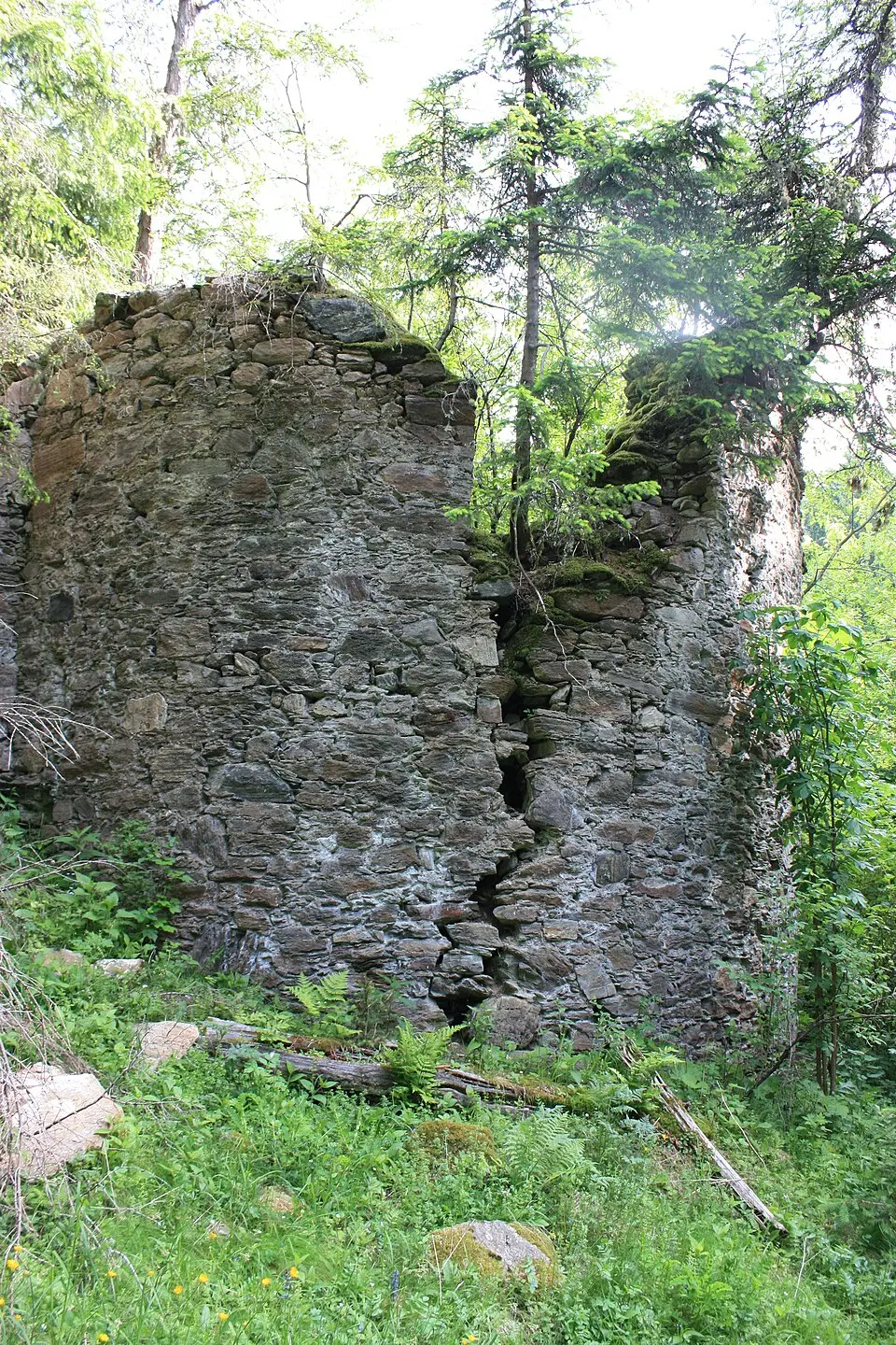 Immagine: Mefusbren69 · Public domain Burgruine Silberberg