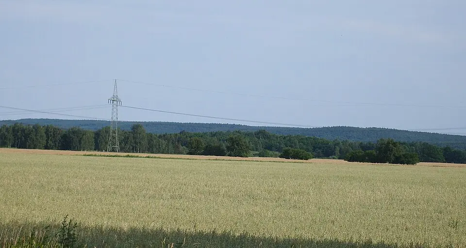 Bild: S. John, Elsterwerda · CC BY-SA 2.5 Heidehöhe