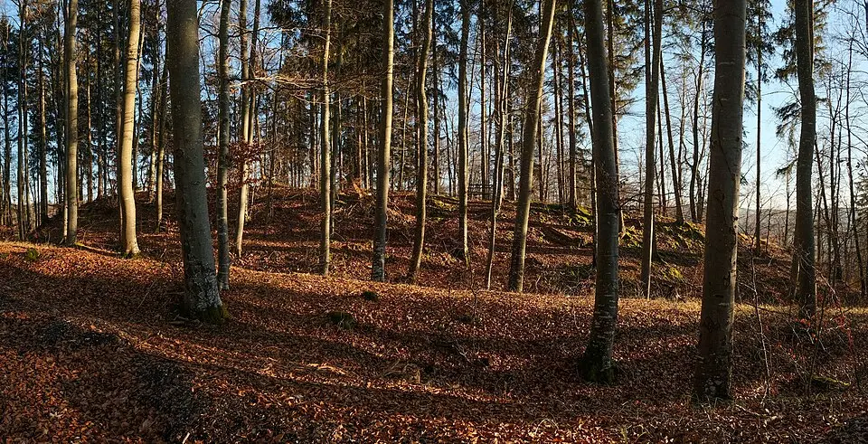 Heidenburg (Ippingen)