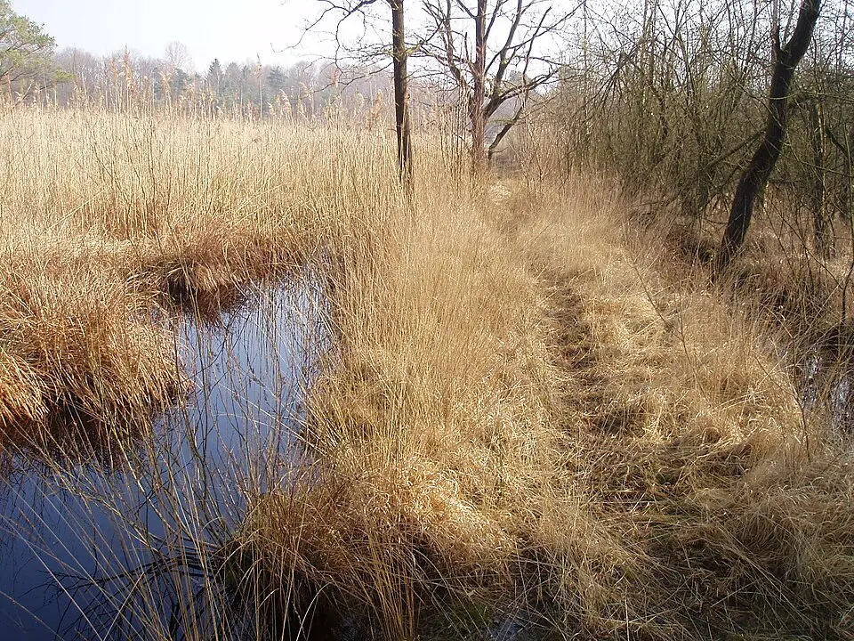 Bild: Queeste · CC BY-SA 3.0 Goor-Asbroek