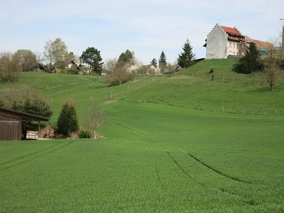 Kappelacker; späteisenzeitliche Siedlungsstelle
