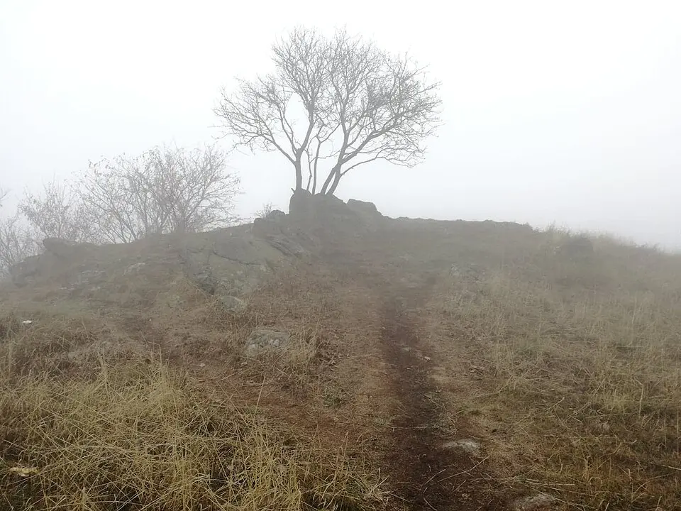 Lysá hora (České středohoří)