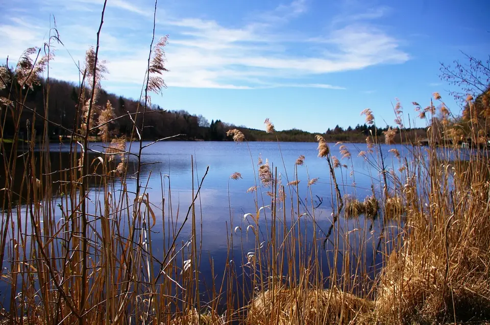 Immagine: Werner100359 · CC BY-SA 3.0 Teile des Hehermooses und der Holzöstersee