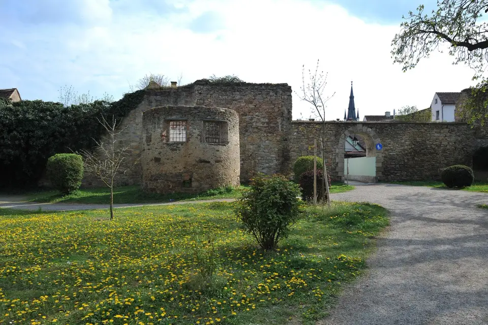 Bild: Ailura · CC BY-SA 3.0 AT Gesamtanlage Horn - Stadtbefestigung