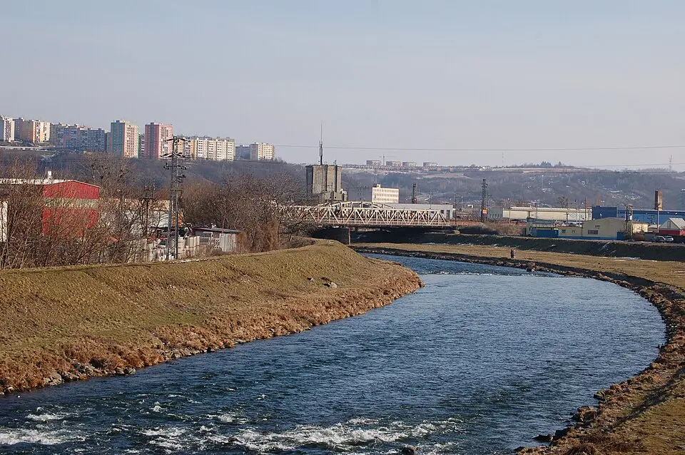 Džungľa