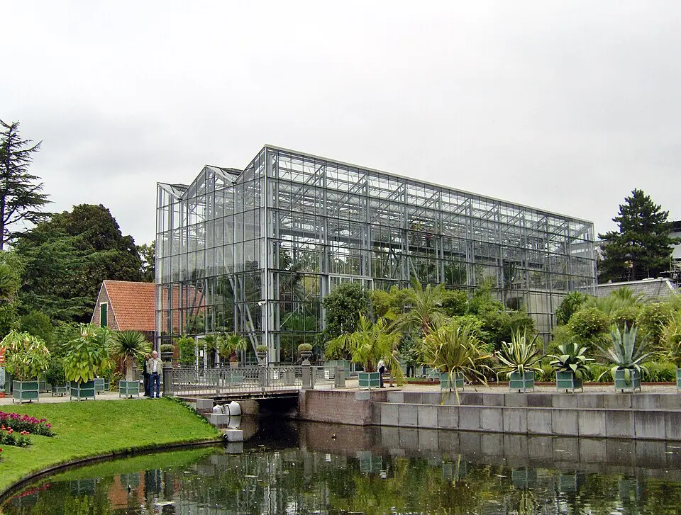 Bild: Tubantia · CC BY-SA 3.0 Hortus Botanicus Leiden