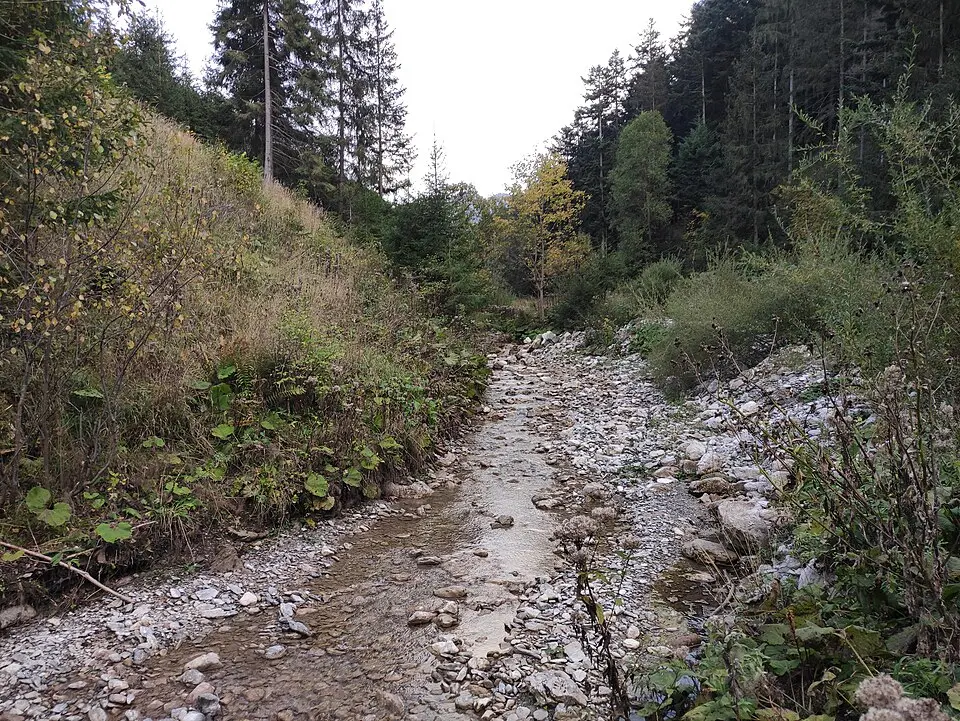Iľanovianka