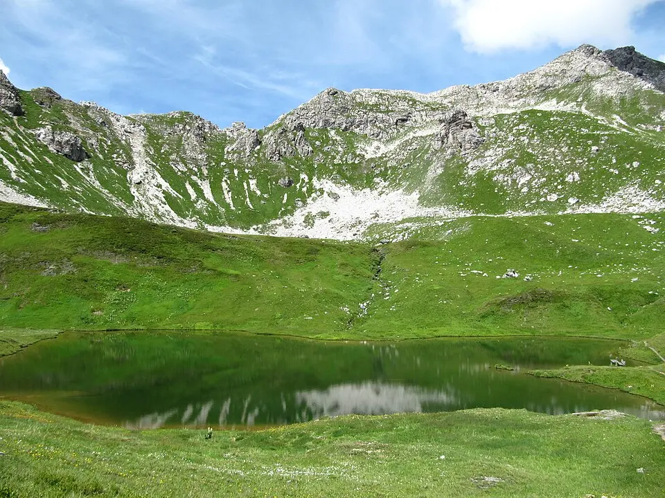 Stierkarkopf