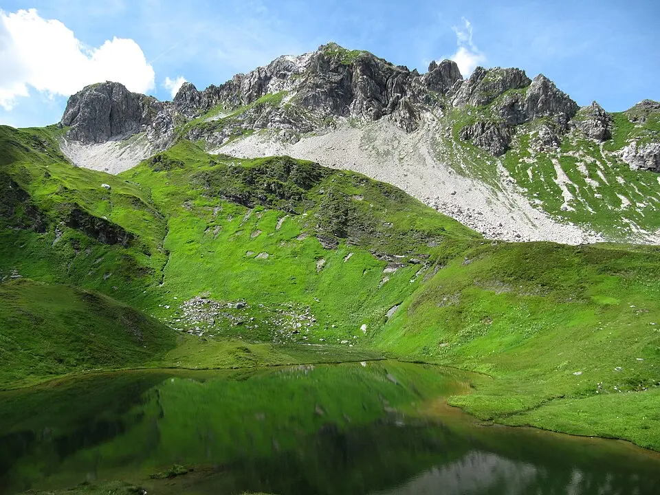 Wildkarkopf