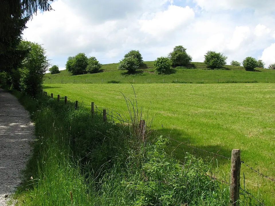 Image: Gras-Ober · CC BY-SA 3.0 Ilkahöhe