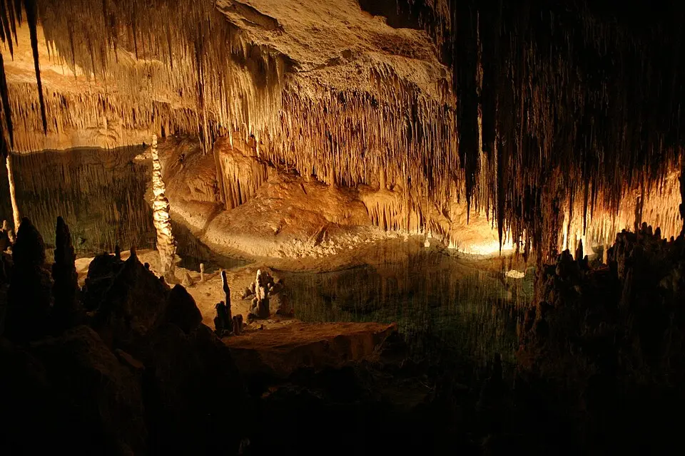 Coves del Drac