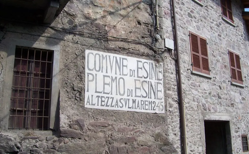 Plemo