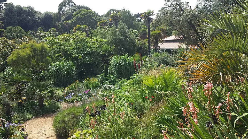 Image: Donarreiskoffer · CC BY 4.0 Abbotsbury Subtropical Gardens