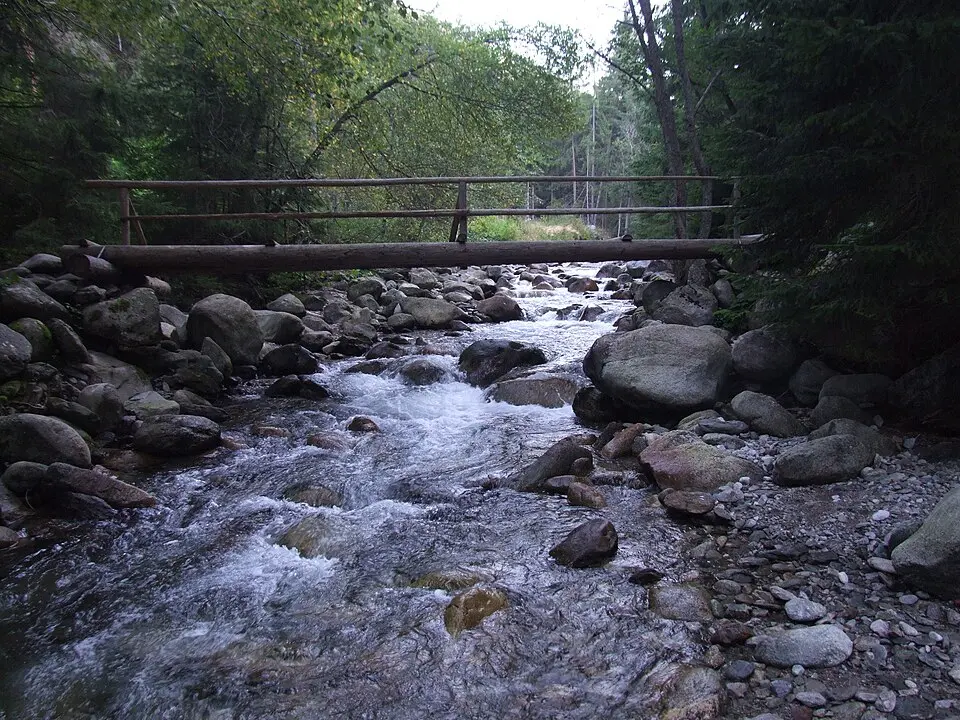 Jalovčanka