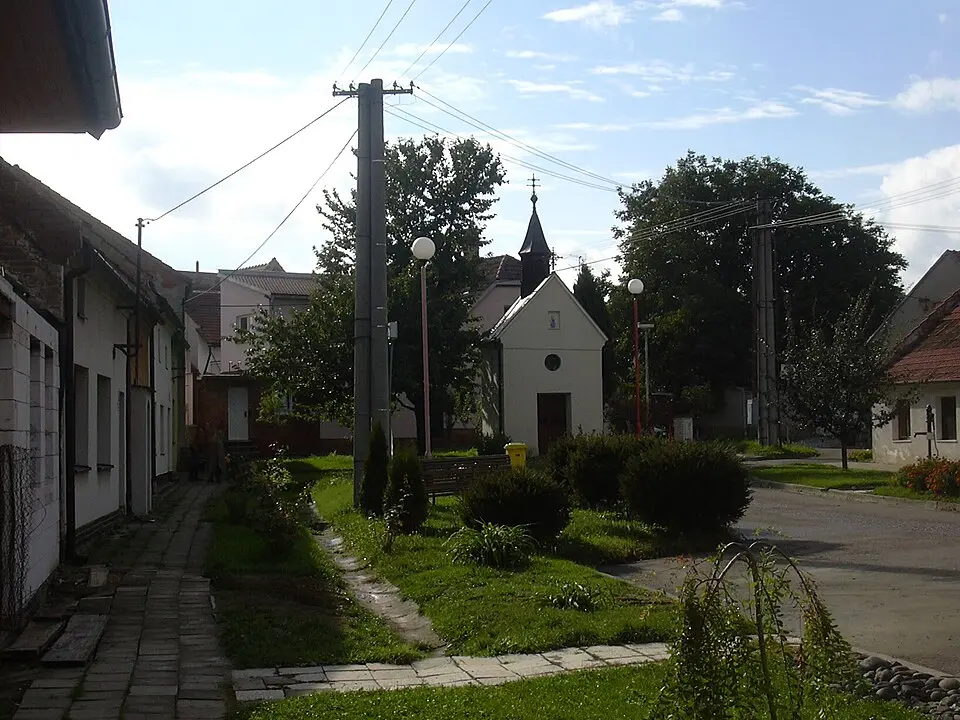 Pazderna
