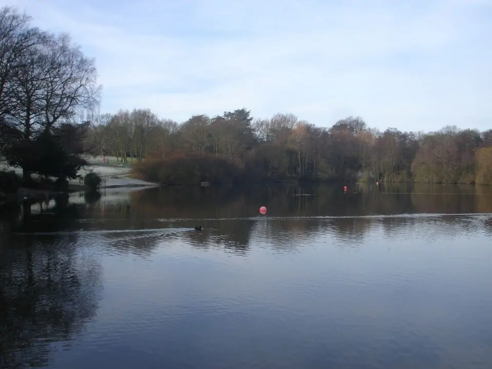Acton