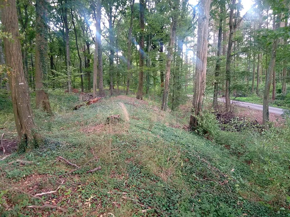 Bild: Granpar · CC BY-SA 3.0 Keltische Viereckschanze Bütthard (West)