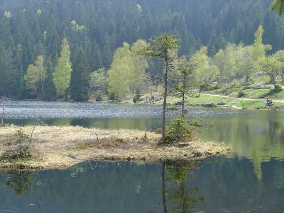 Wikimedia Commons