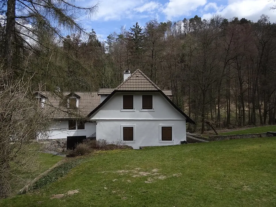 Kožlí