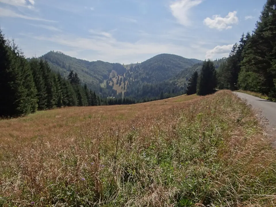 Kopa