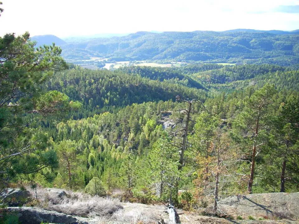 Korpen