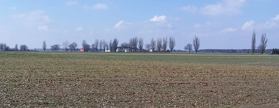 Kręgi Nowe