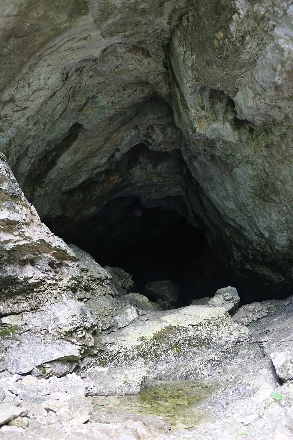Obrázok: Aushelfer · CC BY-SA 3.0 AT Kreidelucke