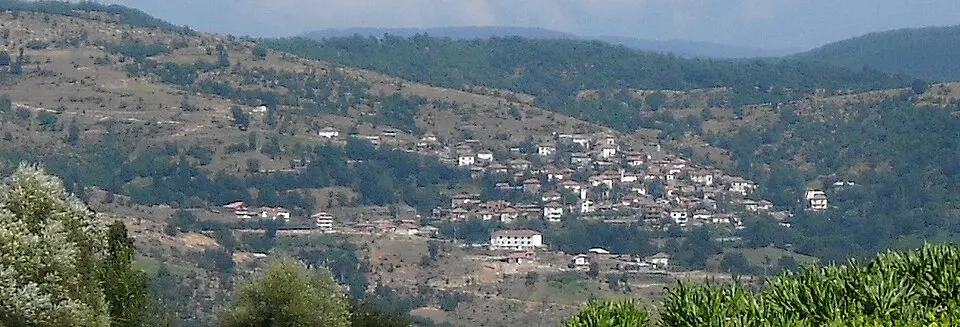 Kribul