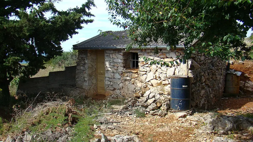 Kép: J.Vítek · CC BY 3.0 Krava